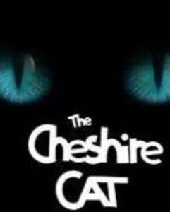 Meet your Posher, Jeff